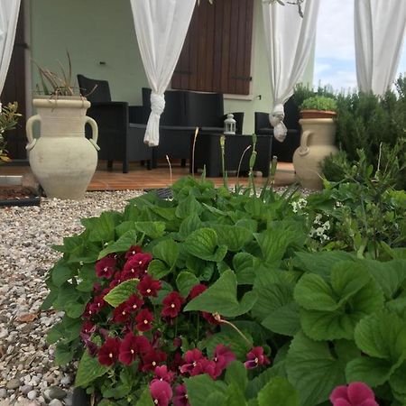 Appartamento Sofia Lazise Exteriör bild